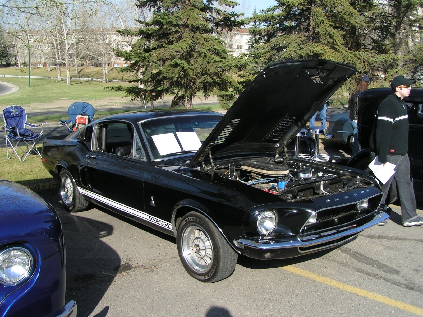 Ford Mustang Shelby GT 350