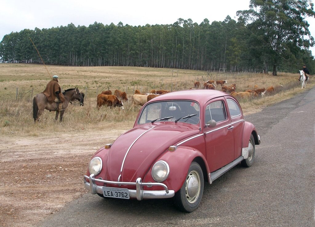Volkswagen Fusca 1300 photo