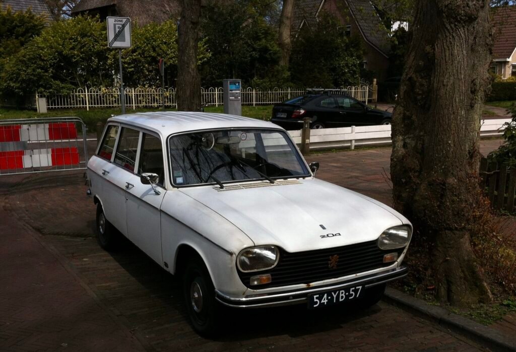 Peugeot 204 photo