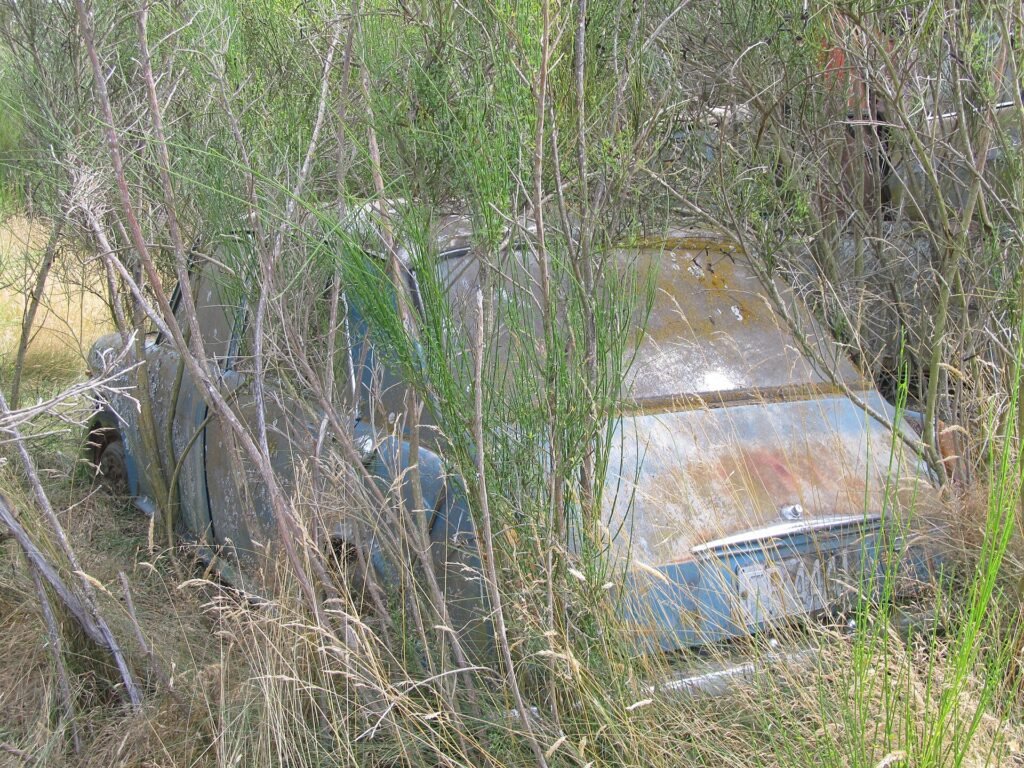 Austin 1300 photo