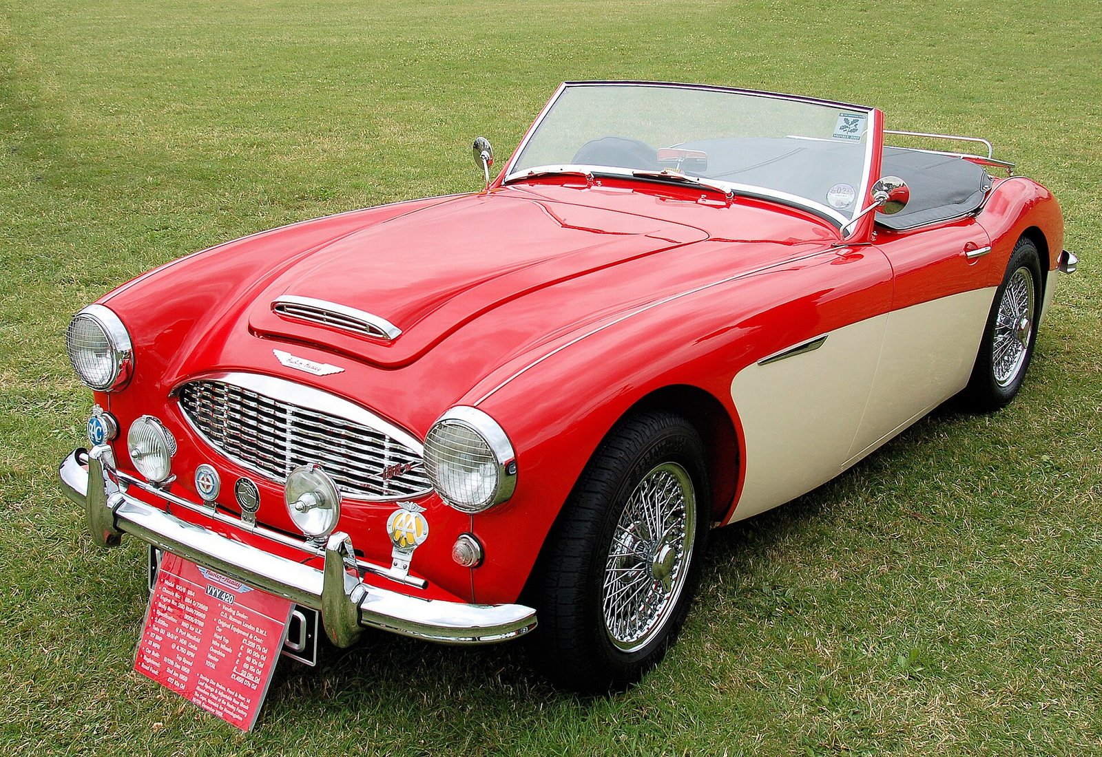 Austin-Healey 100