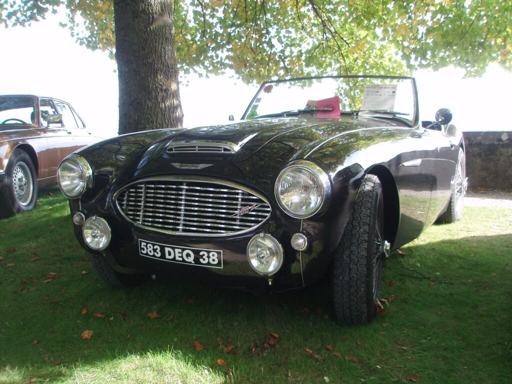 Austin-Healey 100 photo
