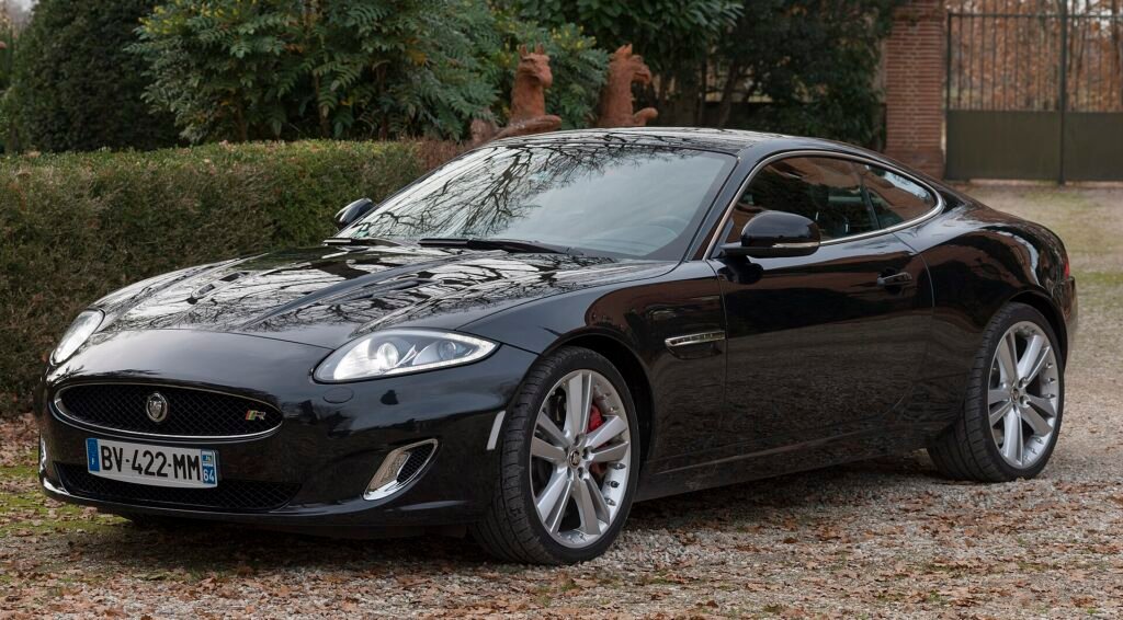 Jaguar 24 photo