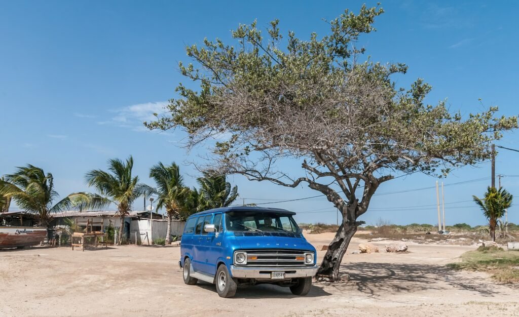 Dodge B250 photo