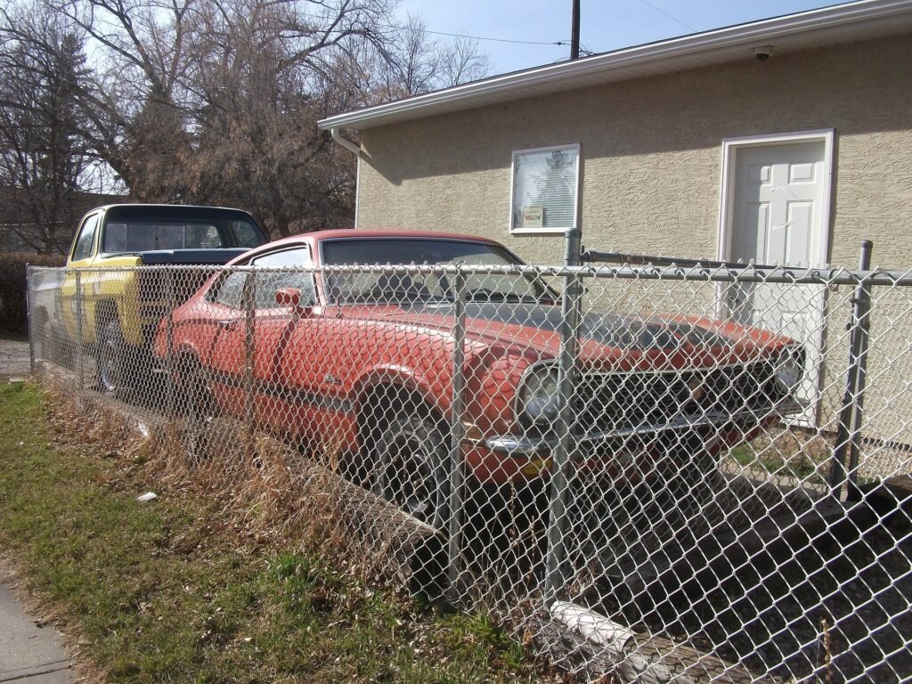 Ford Maverick photo