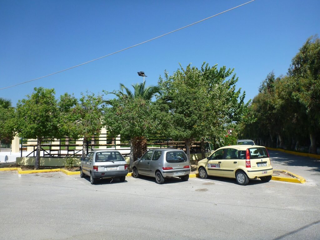 Bravia Holidays photo