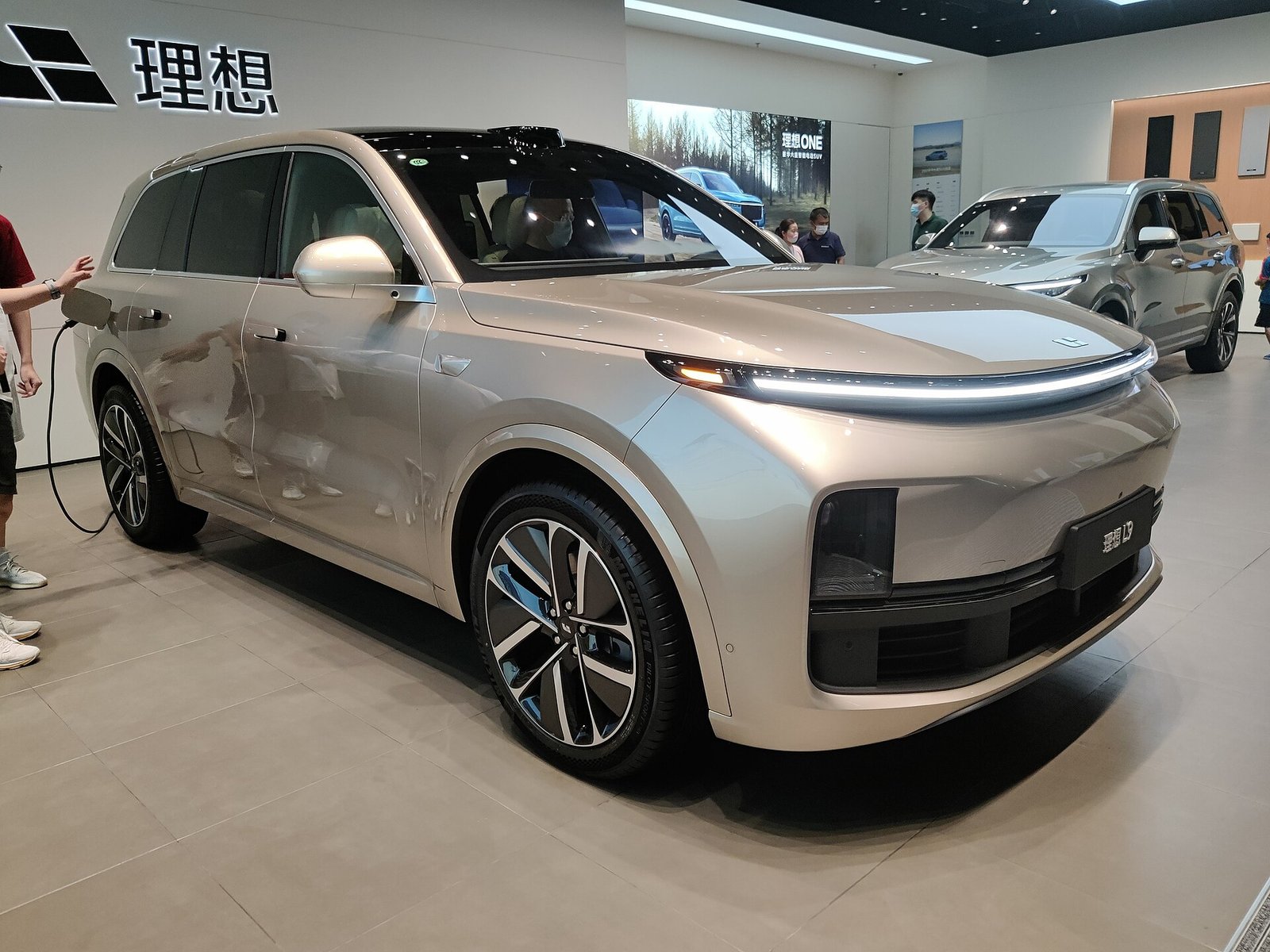 Lixiang L9
