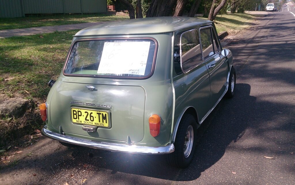 Mini 1100 photo