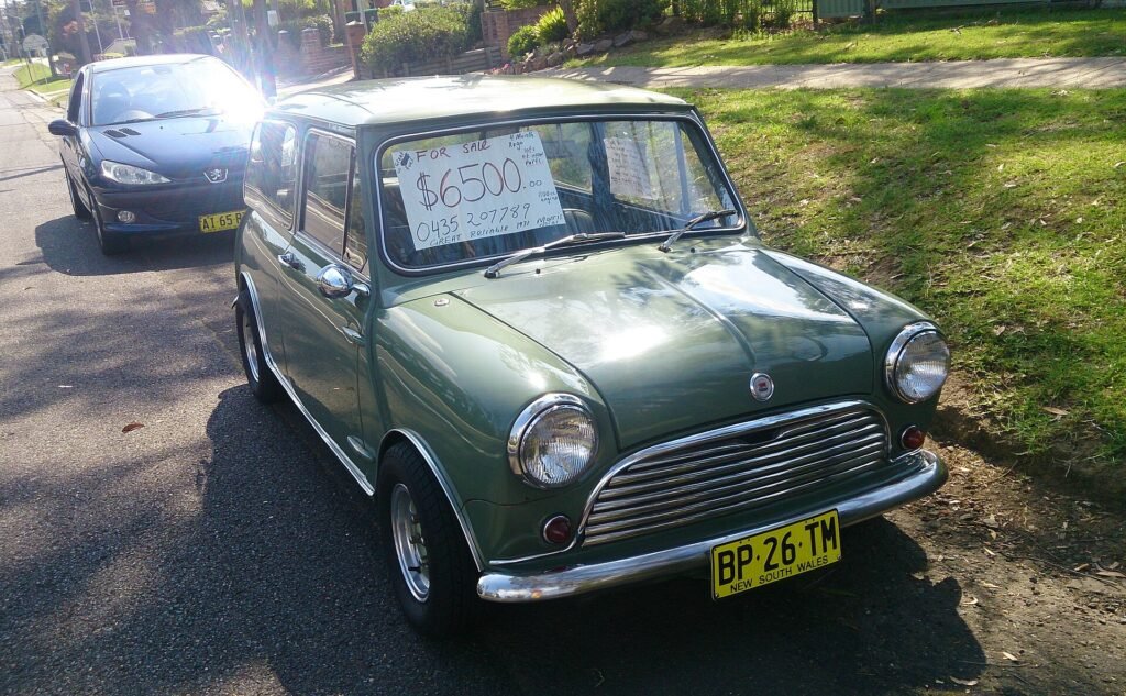 Mini 1100 photo