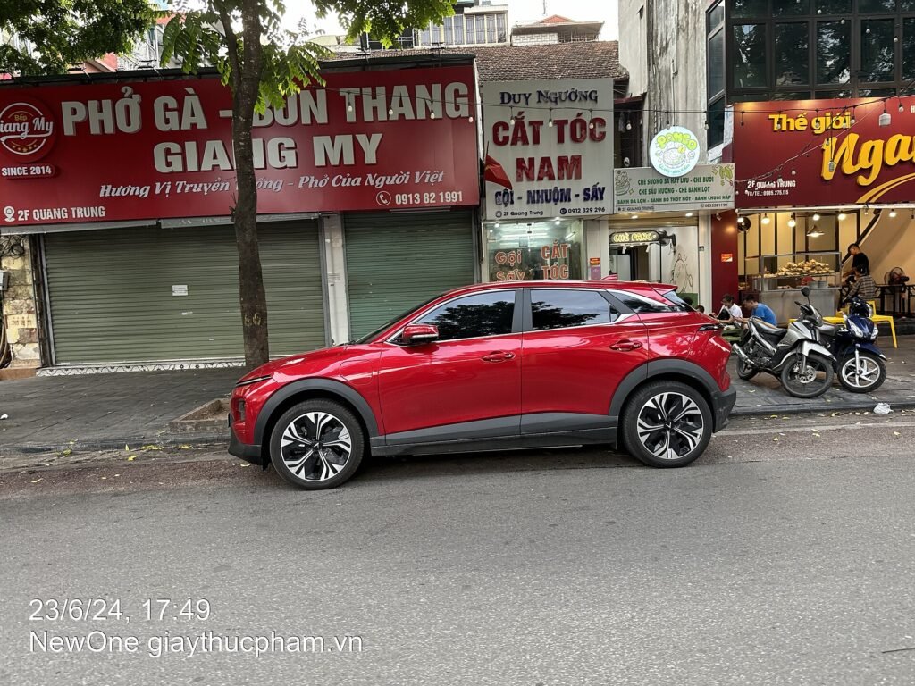 Vinfast VF 6 photo