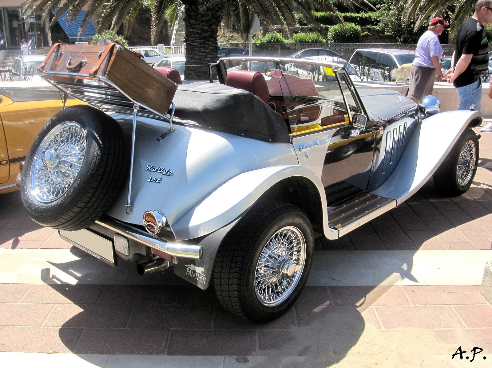 Panther Kallista 2.8L