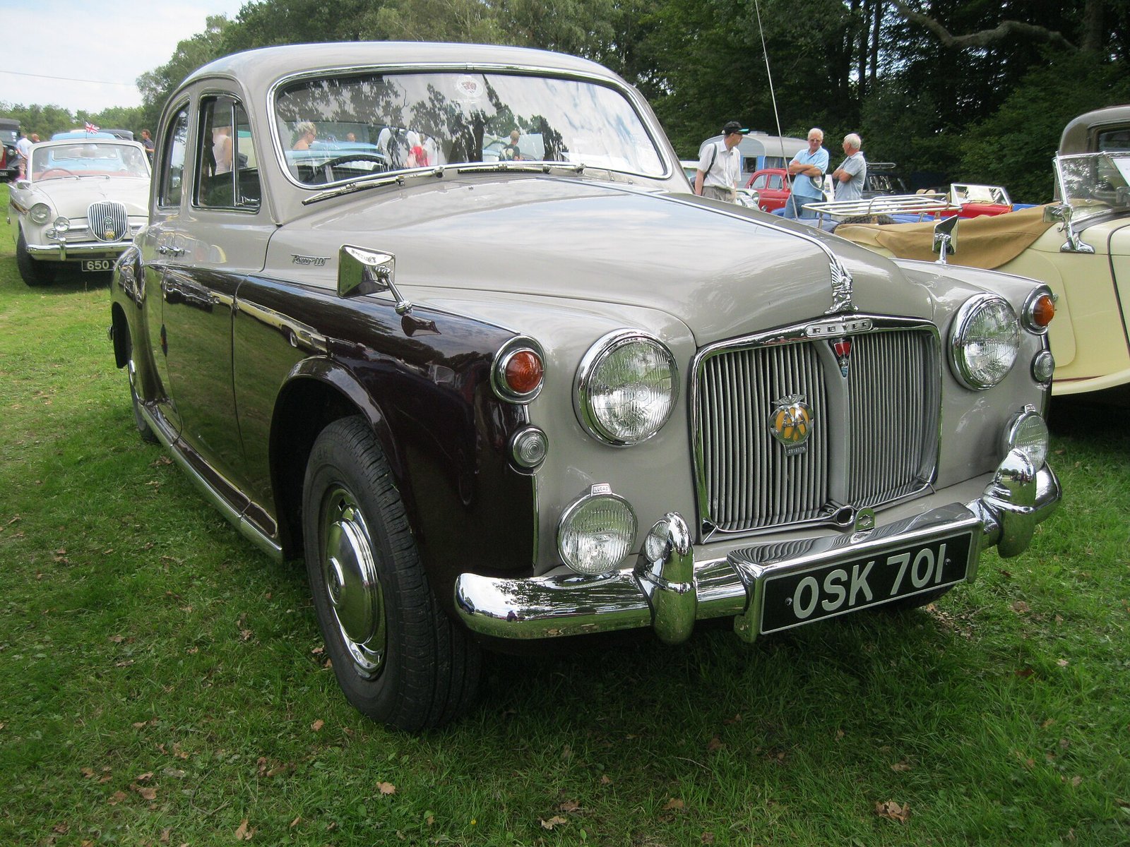 Rover 110