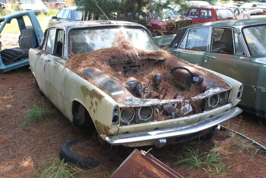 Rover P6 photo