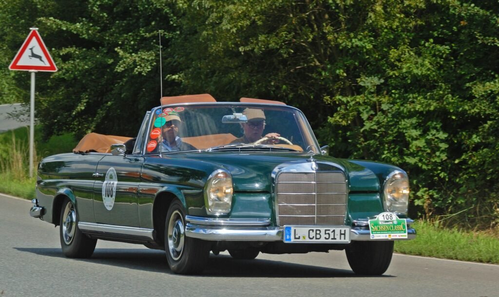 Mercedes-Benz 220 SEb photo
