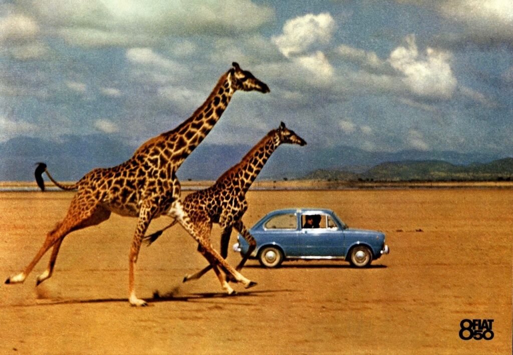 Fiat 850 photo