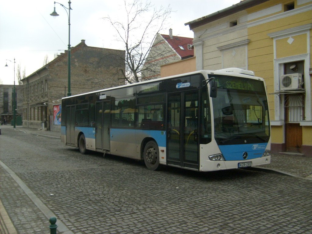 Mercedes-Benz 310 photo