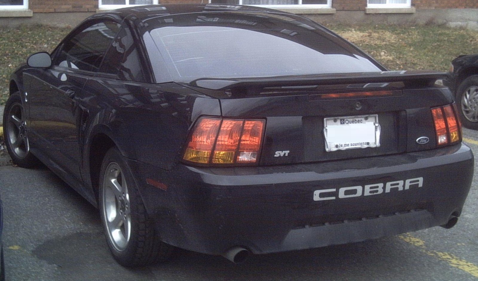 Ford Mustang Cobra/Svt